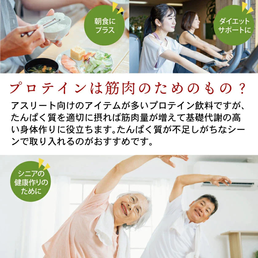 【オンラインストア限定】抹茶ぷろていん